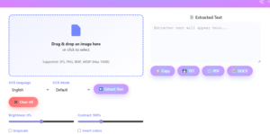 DigiBesti Free OCR Online tool converting image to text.